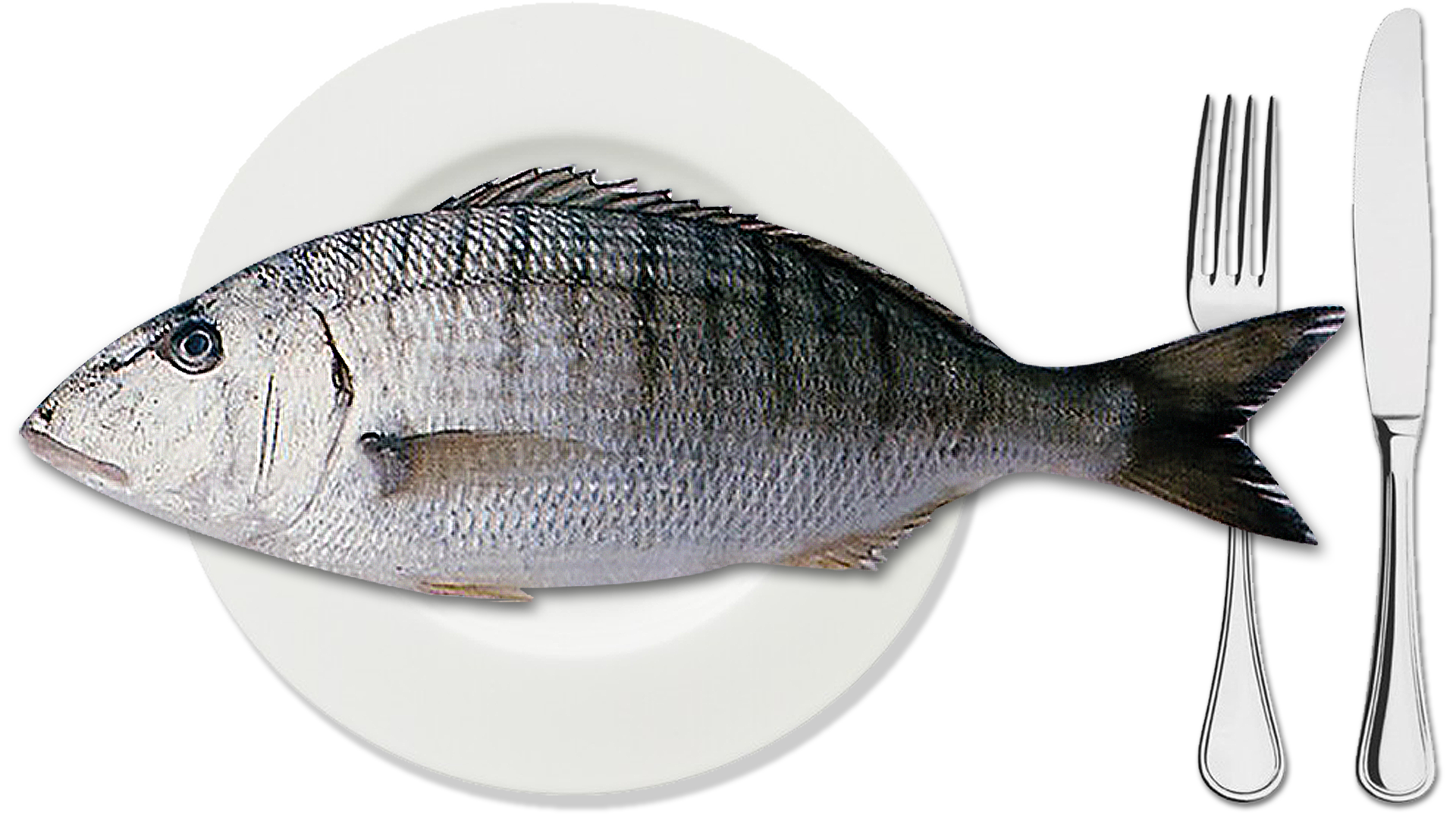 Mormora HelloFish